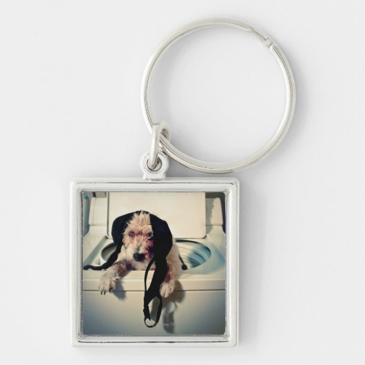 洗浄と救済している犬 キーホルダー (正面)