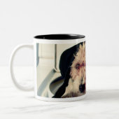 洗浄と救済している犬 ツートーンマグカップ (左)