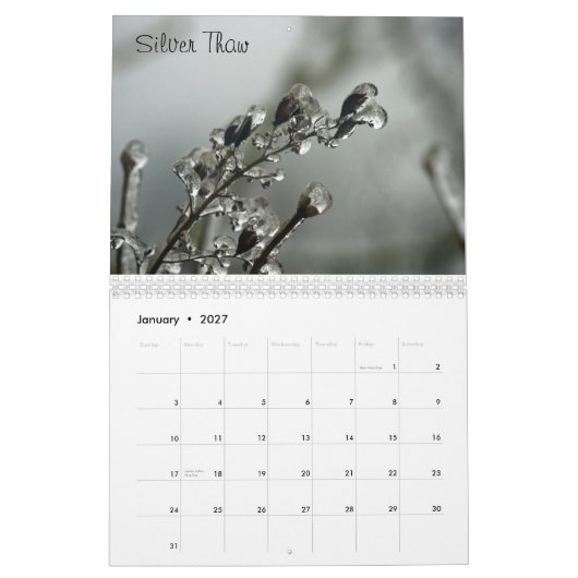 洗浄の州のカレンダー カレンダー (1月 2027)