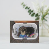 洗濯かご猫ちゃん ポストカード (スタンド正面)