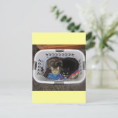 洗濯かご猫ちゃん ポストカード (スタンド正面)