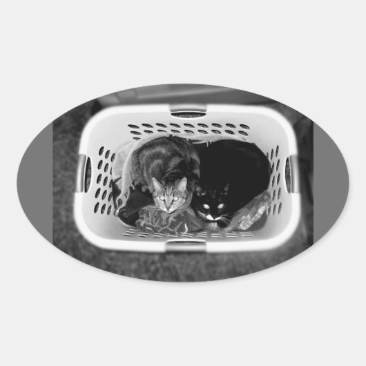 洗濯かご猫ちゃん 楕円形シール (正面)