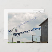 洗濯の日のはがき ポストカード (正面/裏面)