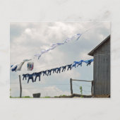 洗濯の日のはがき ポストカード (正面)