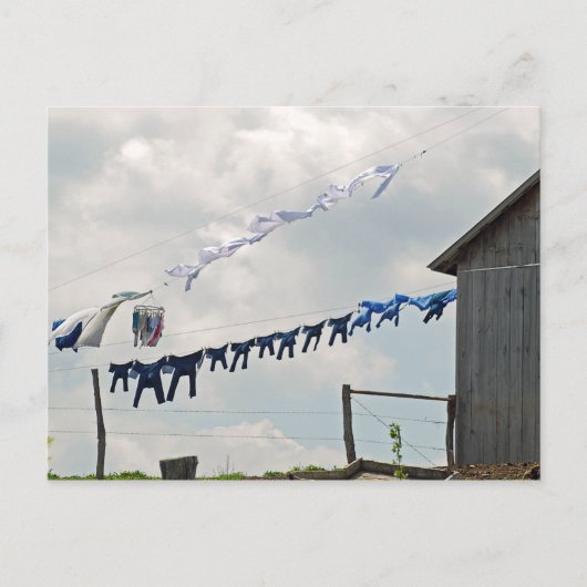 洗濯の日のはがき ポストカード (正面)