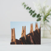 洗濯ライン ポストカード (スタンド正面)