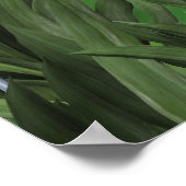 洗濯妖精 ポスター (角)