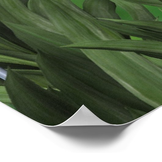 洗濯妖精 ポスター (角)