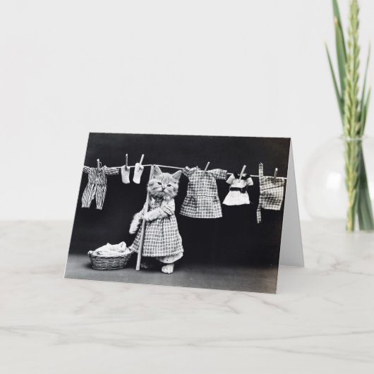 洗濯恋しく思をする子猫 カード (正面)