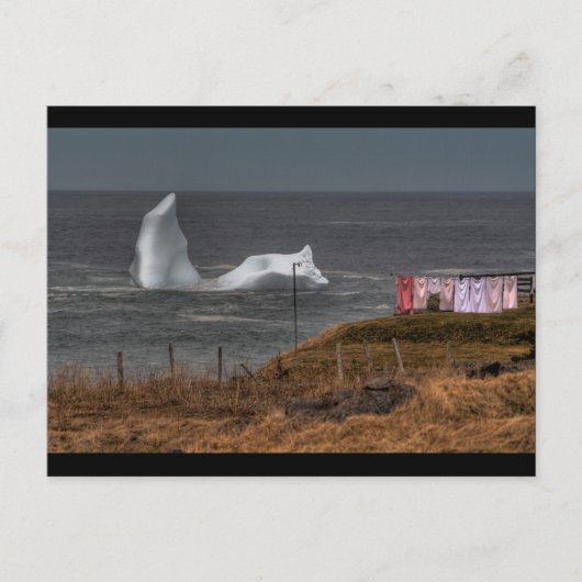 洗濯日 ポストカード (正面)