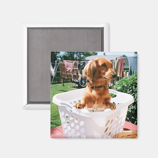 洗濯日 マグネット (正面/裏面)