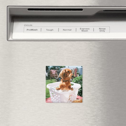 洗濯日 マグネット (インサイチュ (食洗機))