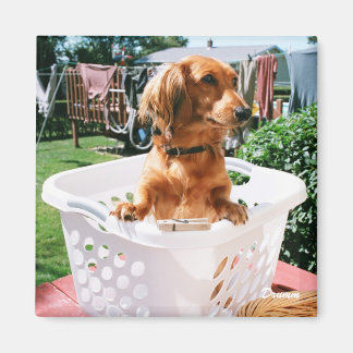 洗濯日 マグネット