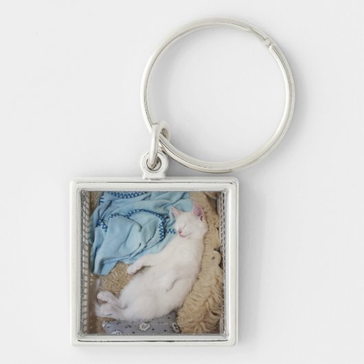 洗濯物入れで眠っている白い猫 キーホルダー (正面)