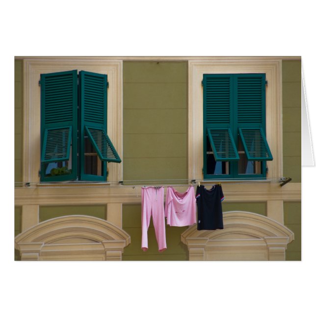 洗濯物 (正面横)