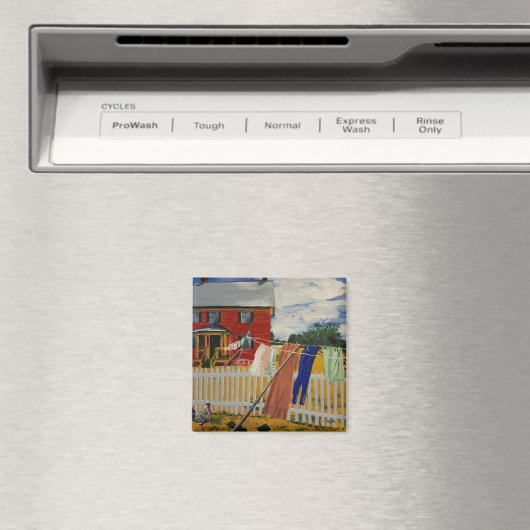 洗濯物 マグネット (インサイチュ (食洗機))