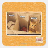 洗濯猫 スクエアシール (正面)