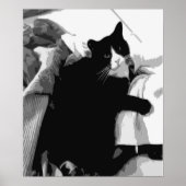 洗濯猫 ポスター (正面)