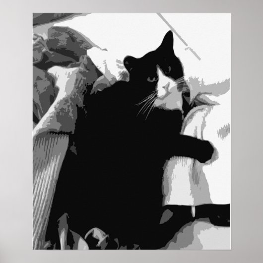 洗濯猫 ポスター (正面)