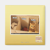 洗濯猫 マグネット (正面)