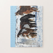 洗砂場で冬を過ごす