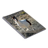 洗砂場のカルリトス ノートブック (右側)