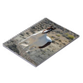 洗砂場のカルリトス ノートブック (左側)