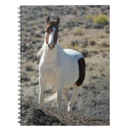 洗砂場のカルリトス ノートブック