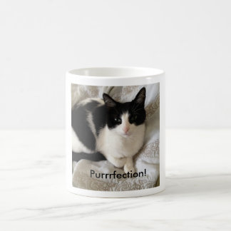 洗練されたコーヒー飲む猫: "Purrrfection! " コーヒーマグカップ