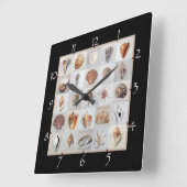 洗練されたシェル スクエア壁時計 (傾斜)