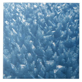 洗練されたスタイル：エレガンスセラミックタイルコレクト タイル