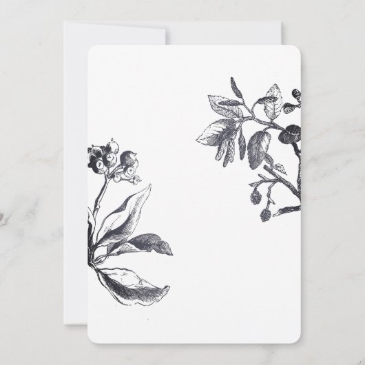 洗練されたブルーヴィンテージウェディング招待状 招待状 (裏面)