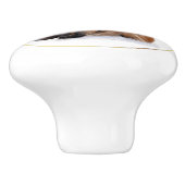 洗練されたヴィンテージレッドキツネエクエストランノブ セラミックノブ (側面)