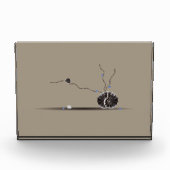 洗練された珍しい美しい貝殻の庭詩 フォトブロック (正面)