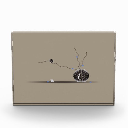 洗練された珍しい美しい貝殻の庭詩 フォトブロック (正面)