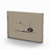 洗練された珍しい美しい貝殻の庭詩 フォトブロック (右)