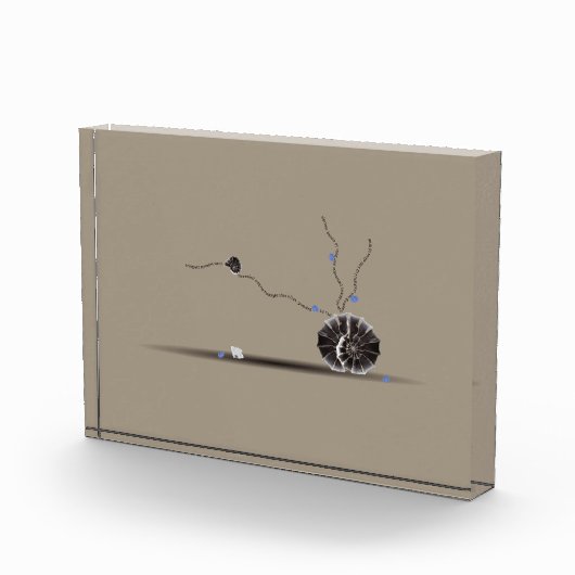 洗練された珍しい美しい貝殻の庭詩 フォトブロック (右)