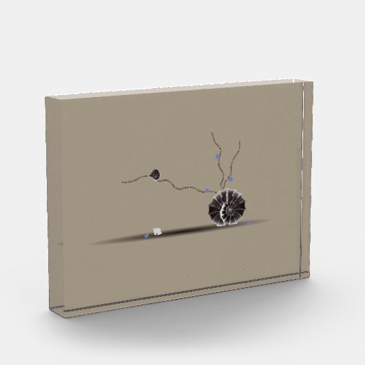 洗練された珍しい美しい貝殻の庭詩 フォトブロック (左)