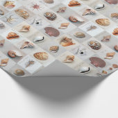 洗練された貝 ラッピングペーパー (角)