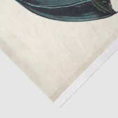 洗練された黒猫のティール（緑がかった色）傘 薄葉紙 (詳細)