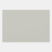 洗練エレガントされたセージのミニマリストとシック ラッピングペーパーシート (正面2)