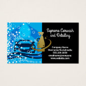 洗車洗浄サービス |バブル |スプレーのクリーニング (正面)