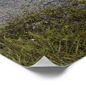 洗面台の向こう側に表示された宇宙シャトルアトランティス ポスター (角)