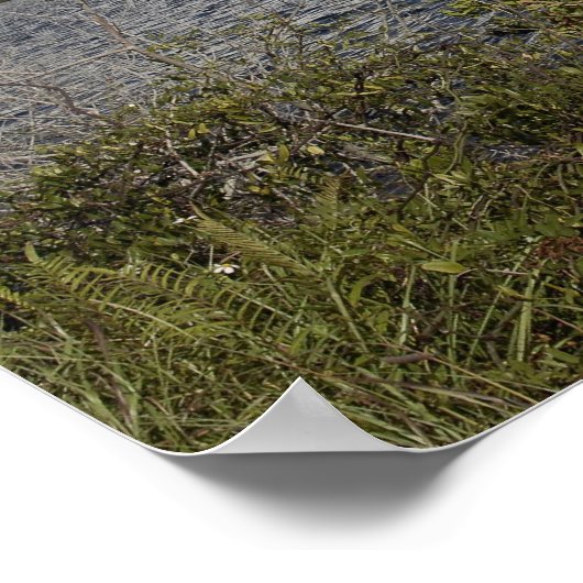 洗面台の向こう側に表示された宇宙シャトルアトランティス ポスター (角)