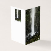 洗面器の精神 (外部)