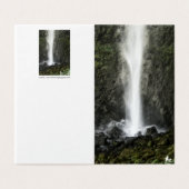 洗面器の精神 (外部フラット)