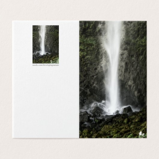 洗面器の精神 (外部フラット)