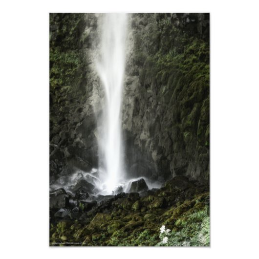 洗面器の精神 フォトプリント            (正面)