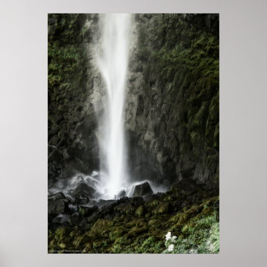 洗面器の精神 ポスター (正面)