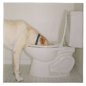 洗面所から飲んでいる犬 タイル (正面)